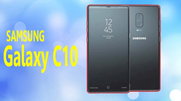 Samsung galaxy c10 plus price and specification